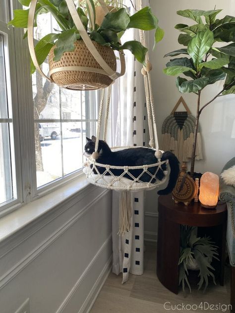 Diy Cat Hammock, Macrame Cat Hammock, Diy Cat Bed, Macrame Hammock, Diy Hammock, Cat Hammock, Cat Things, Cat Ideas, Kitty Stuff