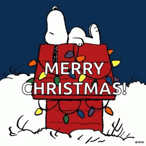 Snoopy Merry Christmas GIF - Snoopy MerryChristmas - Discover & Share GIFs Snoopy Merry Christmas Gif, Snoopy Christmas Images, Snoopy Merry Christmas, Merry Christmas Snoopy, Christmas Animated Gif, Merry Christmas Charlie Brown, Snoopy Gif, Xmas Gif, Christmas Wallpaper Ideas