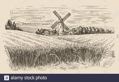 Wheat Field Illustration, Wheat Field Drawing, Windmill Sketch, Field Sketch, Colorful Art Projects, Landscape Vector, Farm Landscape, Landscape Vintage, Colors Art