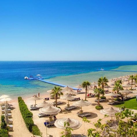 5* LUXURY LATE DEAL!! 🌍 Sharks Bay, Sharm el Sheikh, Egypt 🏩 Savoy Sharm El Sheikh 🎉 7 nights from £1,264 pp 🛏 Double Room with Garden View, All Inclusive 🗓 29th Aug 2024 ✈️ Flying from Manchester 🚌 23kg bags, Shared transfer ------ ✅ Five outdoor swimming pools and access to private beach ✅ Five restaurants and five bars ✅ Beach front location 📌Based on 2 adults sharing. Prices subject to change and subject to availability Sharm El Sheikh Egypt, Egypt Tourism, شرم الشيخ, Diving Course, Egypt Tours, Sharm El Sheikh, Relaxing Vacations, Holiday Books, Shooting Photo