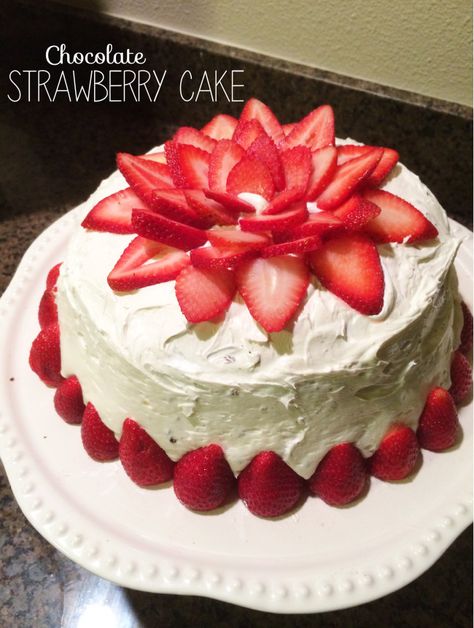 Chocolate Cake with Strawberry Fruit Filling // I love the way this cake was decorated with strawberries! Strawberry Flowers Cake, Strawberry Flower Cake Decoration, Sliced Strawberries On Cake, Decorating A Strawberry Cake, Decorative Strawberries On Cake, Cakes With Strawberry Decorations, Decorate Cake With Fruit, Decorating A Cake With Strawberries, How To Decorate A Cake With Fruit