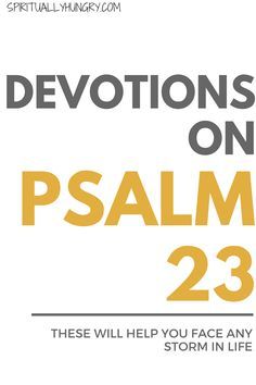 Psalm 23 is one of the most famous Psalms in the Bible. This post presents the beautiful new Passion Translation of Psalm 23. In addition, there is verse by verse meanings of Psalm 23, which will help you better understand this vital piece of Scripture and help connect it to your life in fresh new ways. Short Devotions, Girl Bible Study, Love Scriptures, Everyday Prayers, Biblical Encouragement, Overcome Fear, Bible Study Plans, Womens Bible Study, Scripture Reading