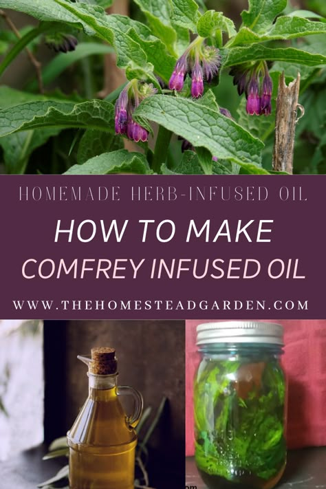 How To Make Comfrey Salve, Comfrey Infused Oil, Comfrey Oil How To Make, How To Use Comfrey Leaves, How To Use Comfrey, Comfrey Tincture Recipe, How To Harvest Comfrey, Diy Comfrey Salve, Comfrey Oil Benefits