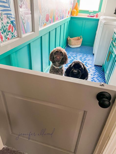 Dog In Laundry Room, Dog Room Laundry Room Ideas, Dog Door Laundry Room, Dutch Door For Dogs, Dogs In Laundry Room, Dog Crate Laundry Room Built Ins, Laundry Room Pet Space, Dog Door Basement, Dog Area In Small House