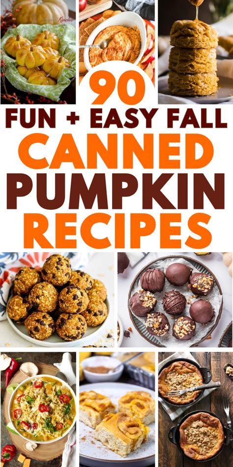 y canned pumpkin recipes! Create a delicious breakfast, dinner, dessert or snack with your leftover canned pumpkin. Fall pumpkin recipes for potlucks, Halloween, Thanksgiving, or anytime! Ways to use canned pumpkin, canned pumpkin recipes easy healthy, things to make with canned pumpkin, canned pumpkin recipes desserts, what to do with canned pumpkin, canned pumpkin ideas, pumpkin butter, pumpkin cookies, bread, canned pumpkin puree recipes, savory pumpkin recipes, recipes for canned pumpkin. What Can I Make With Canned Pumpkin, Recipes With Canned Pumpkin Easy, Recipes With A Can Of Pumpkin, Christmas Pumpkin Recipes, Things To Make With Canned Pumpkin, Recipes For Canned Pumpkin, Pumpkin Canned Recipes, Uses For Canned Pumpkin, What To Make With Canned Pumpkin