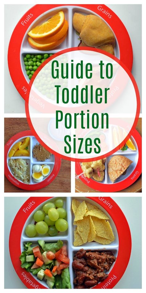 Guide to Toddler Portion Sizes Food Portion Sizes, Toddler Nutrition, Toddler Breakfast, Mini Croissants, Healthy Toddler Meals, How To Cook Beans, Portion Sizes, Fresh Cheese, Toddler Snacks