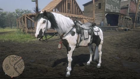 Missouri Fox Trotter Horse Rdr2, Rdr2 Online Horses, Rdr Horses, Missouri Fox Trotter Horse, Fox Trotter Horse, Rdr Online, Rdr2 Horses, Rdr2 Online, 2 Horses