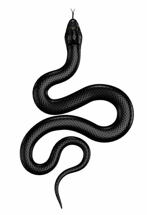 Tattoo Designs Snake, King Cobra Tattoo, Black Snake Tattoo, 8 Tattoo, Cobra Tattoo, Tato Henna, Desain Buklet, Snake Tattoo Design, Back Of Shoulder Tattoo