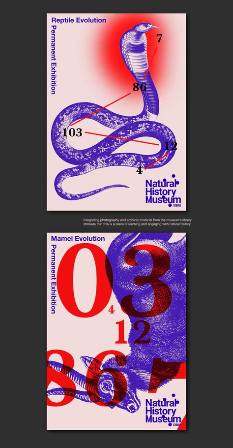 Nature History Museum, Scientific Illustration Poster, Museum Advertising Campaign, Exhibition Postcard Design, Museum Pamphlet Design, Postmodernism Graphic Design, History Museum Design, Cool Package Design, Museum Poster Design Exhibitions