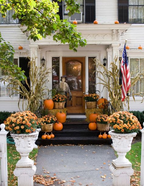 Think beyond the stoop and line the front walk with pumpkins, mums and stalks of corn. Don't forget up top either. Mini gourds on ledges put a seasonal spin on traditional window boxes. Fall Window Boxes, Diy Halloween Dekoration, Outdoor Fall Decor Ideas, Fall Windows, Dekorasi Halloween, Outside Fall Decor, Diy Outdoor Decor, Autumn Decorating, Fall Front Porch