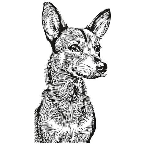 Rat terrier dog pencil hand drawing vect... | Premium Vector #Freepik #vector #dog-drawing #dog-sketch #cartoon-sketch #animal-drawing Rat Terrier Dogs, Sketch Cartoon, Logo Black And White, Cartoon Sketch, Drawing Dog, Rat Terrier, Outline Illustration, Dog Sketch, Drawing Vector