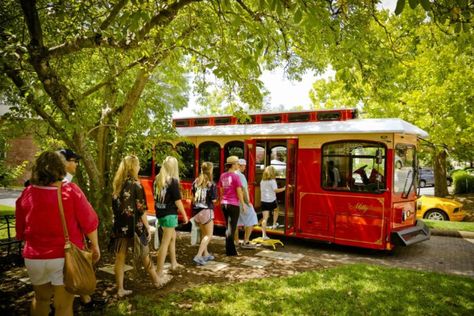 historic-trolley-tours Georgia Living, Milledgeville Georgia, Hiking In Georgia, North Georgia Mountains, Georgia Mountains, Tourism Website, Park Trails, Capitol Building, Scenic Byway