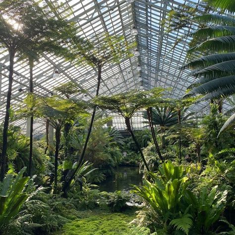 Greenhouse Aviary, Massive Greenhouse, Jungle Greenhouse, Indoor Botanical Garden, Cast Iron Architecture, Garfield Park Conservatory, Tropical Greenhouses, Landscape Design Drawings, Home Greenhouse