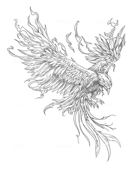 Dragon Shoulder Tattoo, Linework Tattoo Design, Small Japanese Tattoo, Shoulder Tattoo Ideas, Believe Tattoos, Tattoo Linework, Linework Tattoo, Half Sleeve Tattoos Drawings, Phoenix Tattoo Design