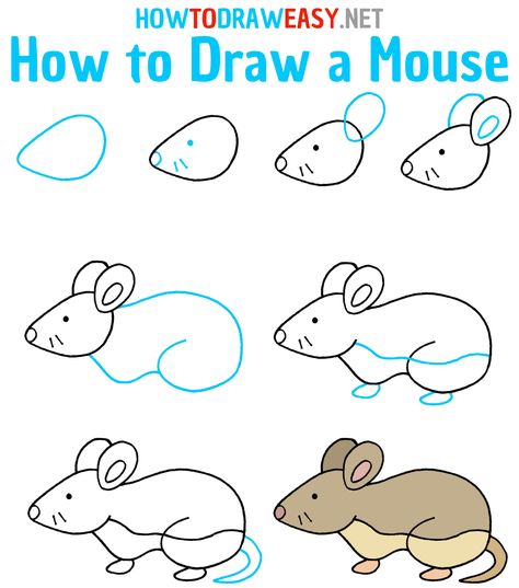 How to Draw a Mouse Step by Step #MouseDrawing #Mouse #HowtoDrawaMouse #HowtoDrawanEasyMouse #HowtoDrawaMouseEasy #EasyDrawings #HowtoDrawEasy #MouseDrawingStepbyStep #HowtoDrawaMouseStepbyStep #SimpleDrawings #Rat #RatDrawing #HowtoDrawaRat #CuteMouse #CartoonMouse #MouseDrawingEasy #SimpleDrawing #EasytoDrawaMouse Mouse Drawing Simple, Rat Drawings Simple, Cute Cartoon Mouse, Step By Step Sketches, Animal Cartoons, Mouse Trap, Funny Mouse, Mouse Drawing, Simple Drawings