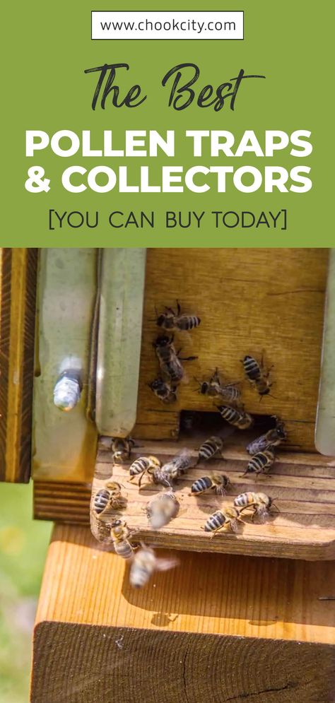 Bee Facts For Kids, How To Keep Bees, Facts About Bees, Apiary Beekeeping, Backyard Beehive, Bee Smoker, Feeding Bees, Harvesting Honey, Step Ideas