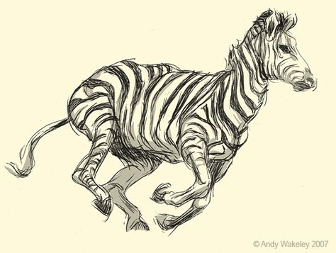 zebra Zebra Sketch, Zebra Drawing, Zebra Illustration, Zebra Art, Animal Sketches, Illustrator Tutorials, Zoo Animals, Various Artists, Zebras