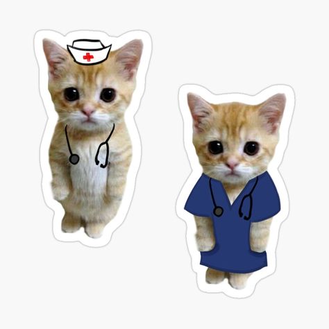 Vet Stickers, White Stethoscope, Medicine Stickers, Med Stickers, Anatomy Stickers, Doctor Cat, Nurse Cat, Doctor Stickers, Medical Stickers