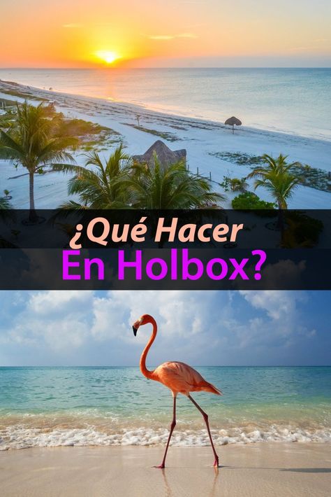 Mexico Birthday, Holbox Island, Tropical Birthday, Birthday Trip, Quintana Roo, Mexico Travel, Riviera Maya, Cancun, Good Advice