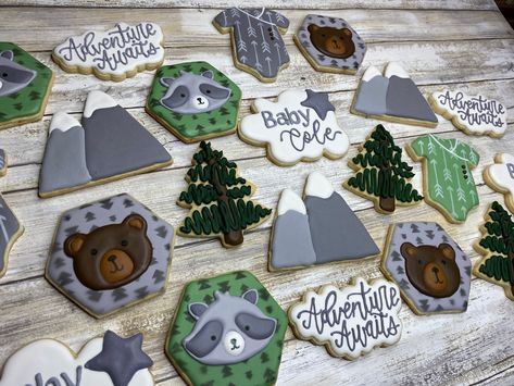 Adventure Awaits Forest Collection Baby Shower Cookies Baby - Etsy Adventure Baby Shower Boy, Safari Baby Birthday, Adventure Baby Shower Theme, Happy Camper Birthday Party, Adventure Awaits Baby Shower, Grey Theme, Forest Baby Showers, Adventure Baby Shower, 1st Birthday Party Themes