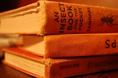 Old Orange Books by budding_photographer, via Flickr Orange Books, Nikon D80, Orange Icons:), Orange Book, Orange Dream, On Hiatus, Orange You Glad, Colorful Life, Orange Aesthetic