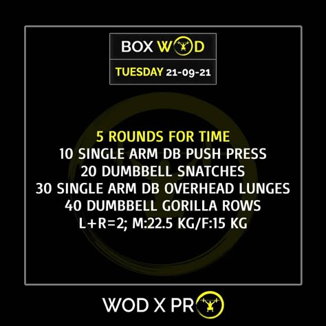 Upper Body Crossfit Wod, Crossfit Dumbbell Workout, Crossfit Arm Workout, Wod Workouts, Murph Workout, Ufc Workout, Crossfit Routines, Crossfit Program, Crossfit Workouts Wod