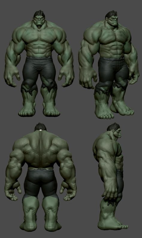 Zbrush Anatomy, Zbrush Character, Hulk Art, Man Anatomy, Character Model Sheet, The Incredible Hulk, Model Sheet, Mr Olympia, Hulk Marvel