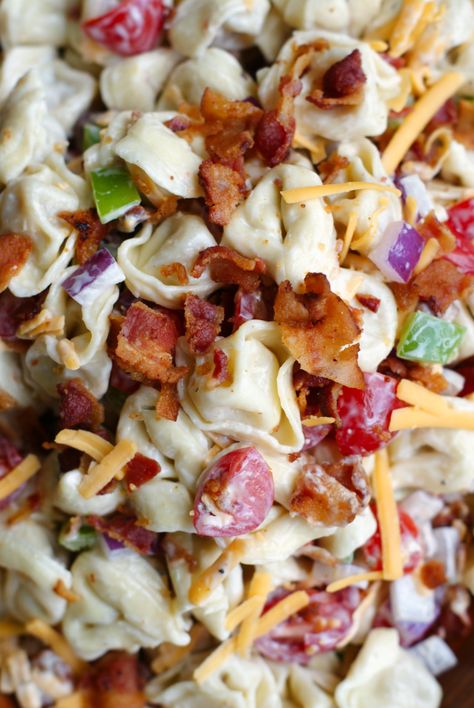 Bacon Ranch Tortellini Salad | The Two Bite Club Bacon Ranch Tortellini, Resep Pasta, Pasta Salad With Tortellini, Resep Salad, Tortellini Recipes, Tortellini Pasta, Tortellini Salad, Easy Asian Recipes, Salad Pasta