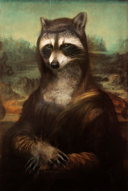 Racoon, Mona Lisa, Photoshop, Design