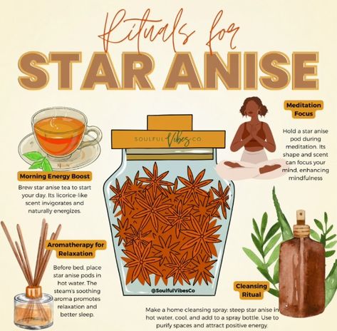 Anise Seed Benefits, Star Anise Magical Properties, Anise Benefits, Star Anise Benefits, Star Of Anise, Herbal Education, Herbal Remedies Recipes, Medical Herbs, Plant Medicine