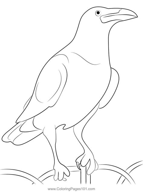 Scary Raven Coloring Page Crow Outline, Clipart Black And White, Black And White Drawing, Sewing Projects For Beginners, Crows, Free Kids, Printable Coloring Pages, Printable Coloring, Coloring Pages For Kids