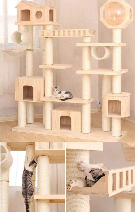 Cat Jungle Gym, Cat Jungle, Kitten House, Cat Bedroom, Cat Castle, Cat Houses Indoor, Cat Gym, Cat Patio, Cat Tree House