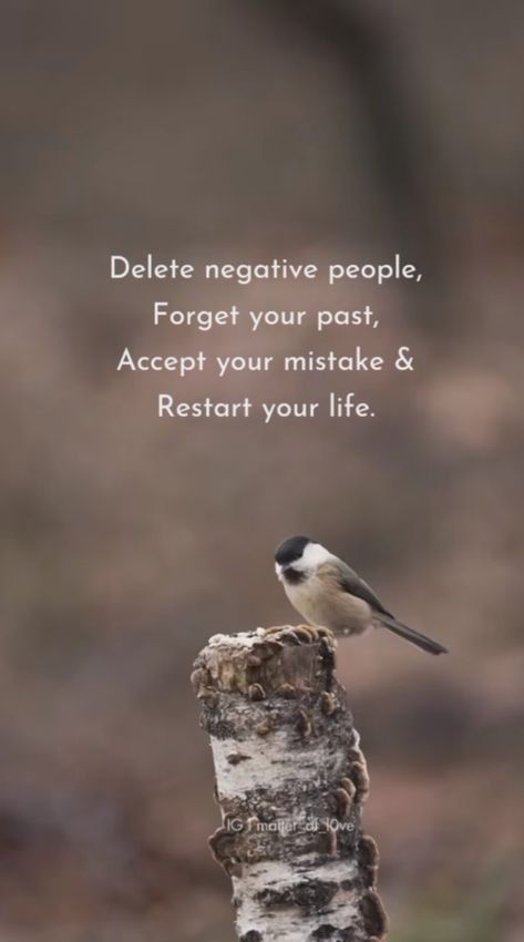 Restart your life for the best Restarting Life Quotes, Restart Your Life Quote, Restart Wallpaper, Restarting Your Life, Restart Quotes, Restart Life, Yoga Captions, Restart Your Life, Nature Quotes Beautiful