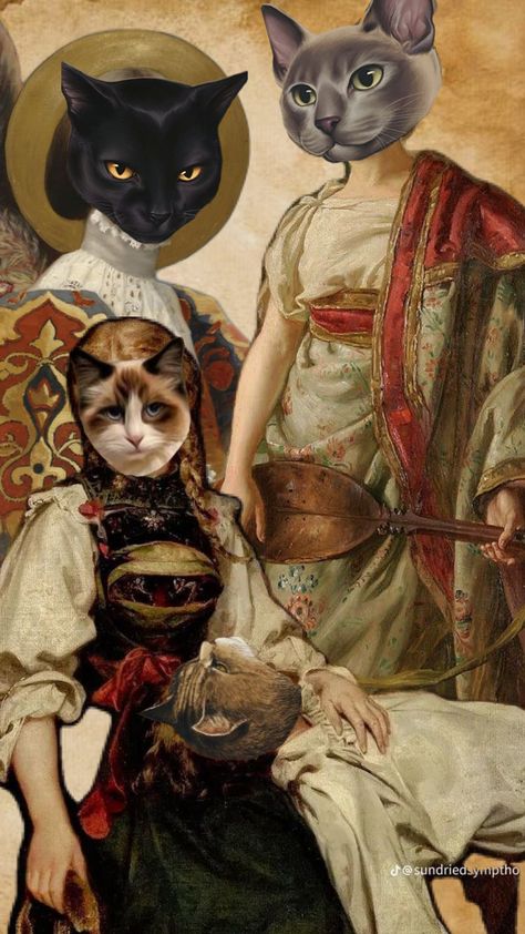 Napoleon Cat, Meme Cat, Cats Tumblr, Neko Cat, Norwegian Forest Cat, White Kittens, Tableau Art, Sleepy Cat, Bengal Cat