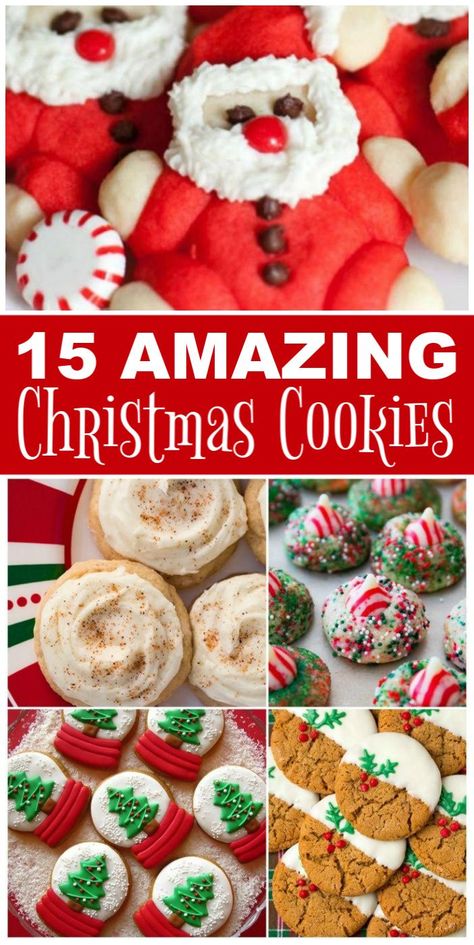 Craft Thanksgiving, Holiday Flavors, Chocolate Gingerbread, Peppermint White, Easy Christmas Cookie Recipes, Christmas Cookie Recipes, Cookie Recipes Unique, Cake Chocolat, Christmas Cookie Exchange