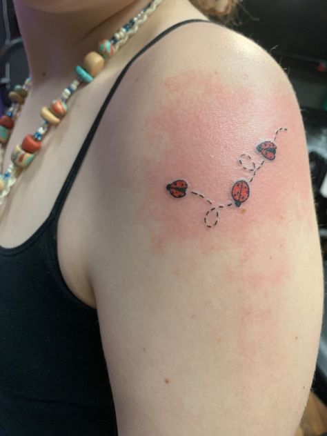 Ladybug Dragonfly Tattoo, Ladybugs Tattoo Ideas, Three Ladybugs Tattoo, 3 Ladybug Tattoo, Ladybug Tattoo On Shoulder, Ladybug Shoulder Tattoo, Ladybug With Angel Wings Tattoo, Mom And Daughter Ladybug Tattoos, Ladybug Arm Tattoo