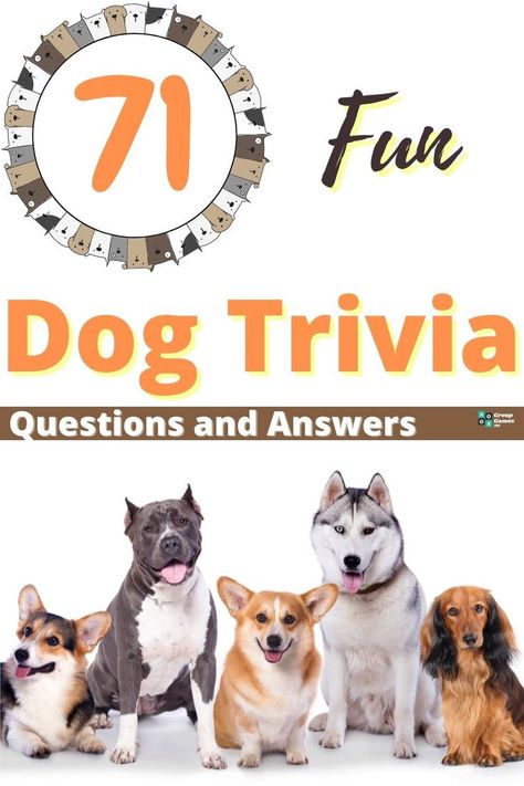 71 Fun Dog Trivia Questions and Answers Kids Trivia Questions, Trivia For Seniors, Dog Quiz, Fun Trivia Questions, Dinner Party Games, Senior Games, Quiz Me, Trivia Questions And Answers, Adult Party Games