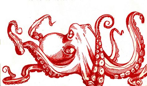 Octopus art Octopus Images, Octopus Drawing, Octopus Tattoo Design, Octopus Tattoos, Red Octopus, Octopus Tattoo, Octopus Art, Tattoo Blog, Kraken