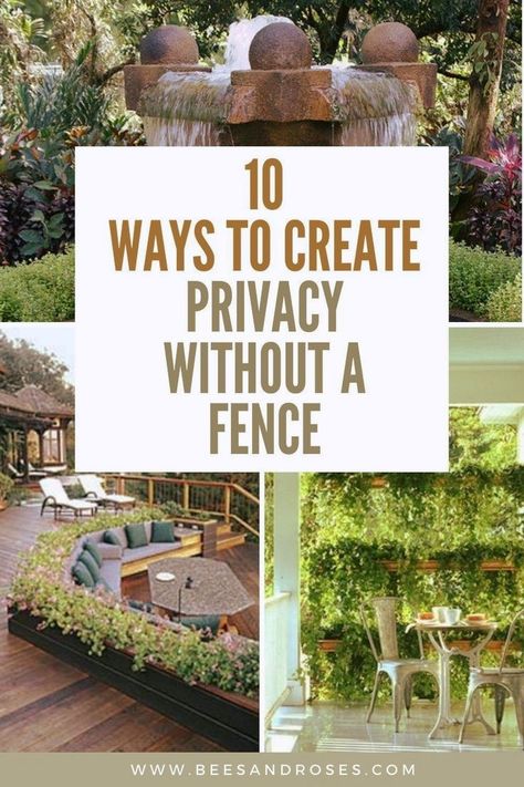 Explore 10 creative ways to add privacy to your outdoor spaces without the need for a traditional fence. These ideas utilize plants, screens, and strategic landscaping to enhance your privacy. Porch Privacy Wall Ideas, Non Fence Privacy Ideas, Large Backyard Privacy Ideas, Small Garden Screening Ideas, Outside Privacy Screen, Privacy Side Yard Ideas, Backyard Landscaping No Fence, Natural Privacy Fence Ideas Living Walls, Patio Plants For Privacy