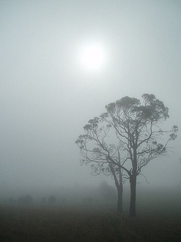 Unforgiving Fog, The Fog Is Coming, Ruined City, Coraline, Design Concept, Concept Design, That Look, Art Inspiration, Trees