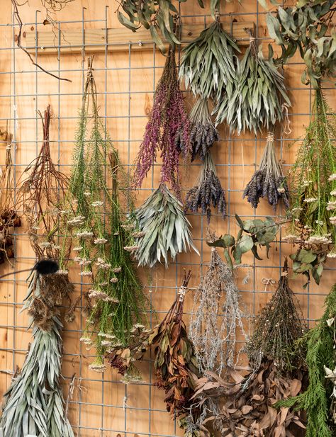 Dried Herbs Hanging Decor, Dry Flower Photography, Wall Of Dried Flowers, Dry Flower Decoration, Dried Flower Storage Ideas, Dried Flower Storage, Dry Plants Decoration, Hanging Flowers Decor, Flower Drying Rack