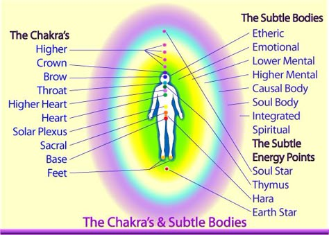 The Human Energy System - Your Aura, Chakras & Subtle Bodies Brain Map, Aura Colors Meaning, Colors Meaning, Body Chakras, Human Energy, Chakra Health, Mindset Matters, Etheric Body, Reiki Energy Healing