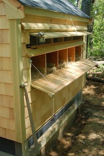 Vent door above and Nest Box door below, That is a drop down door behind the nesting boxes so that you can gather eggs without going inside, or disturbing the hens. #chickencoopideas Raising Chicken, Casa Hobbit, Chicken Poop, Chicken Pen, Chicken Coup, Nest Box, Chicken Ideas, Coop Design, Chicken Coop Designs