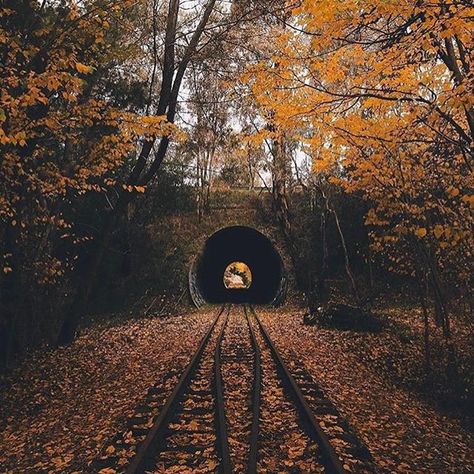 Australia Photo by @tommartin1_ . Australia Photos, Fall Inspiration, Biome, Autumn Scenery, Fall Feels, Autumn Beauty, Best Seasons, Autumn Cozy, Lombok