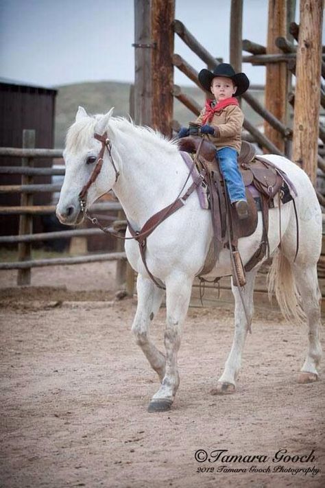 Horse Books, Cowboy Girl, Western Riding, Little Cowboy, Country Kids, Cowboy Art, Horse Crazy, Baby Cowboy, Books For Kids