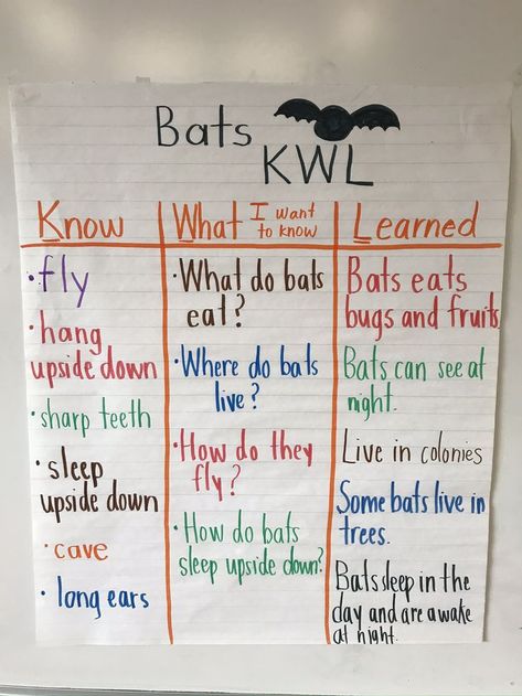 Kwl Chart Preschool, Kindergarten Prep Activities, Kwl Chart, Kindergarten Prep, Prep Activities, Kindergarten, Preschool, Bullet Journal, Halloween