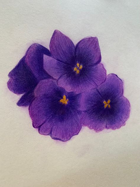 Purple flower drawing African Violet African Violet Painting, African Violet Drawing, Purple Flower Drawing, Violet Drawing, African Violet, Arte Sketchbook, Violet Flower, African Violets, Purple Flower