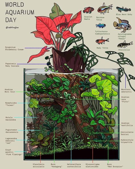 Axolotl Tank Ideas Aquarium, Aquarium Ideas Decoration, Jungle Aquascape, Pet Axolotl, Cube Aquarium, Pond Drawing, Fish Project, Underwater Garden, Aqua Scaping