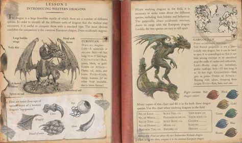 dragonology book Dragonology Aesthetic, Dragonologist Aesthetic, Dragonology Book, Ology Books, Organized Journal, Harry Potter Neville, Punk Zine, Charlie Weasley, Dnd Journal