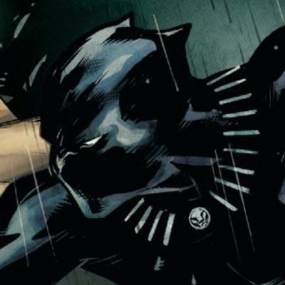 Black Panther Pfp, Black Panther Icon, Black Panther Comic, Marvel Pfp, Marvel Comics Icons, Marvel Comic Icons, Spiderman Art Sketch, Black Panther Art, Marvel Characters Art